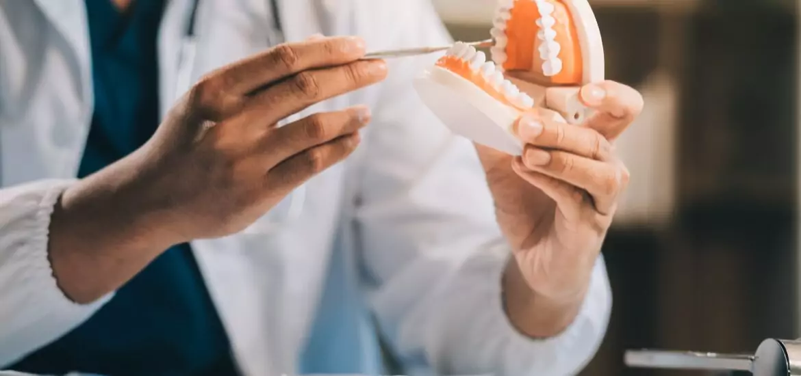doctor holding up a denture model at Prestige Dentistry